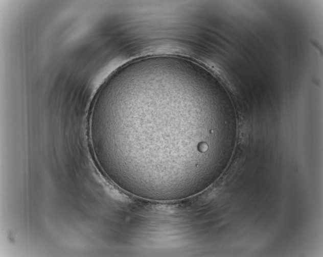 X0000101971086200807251206