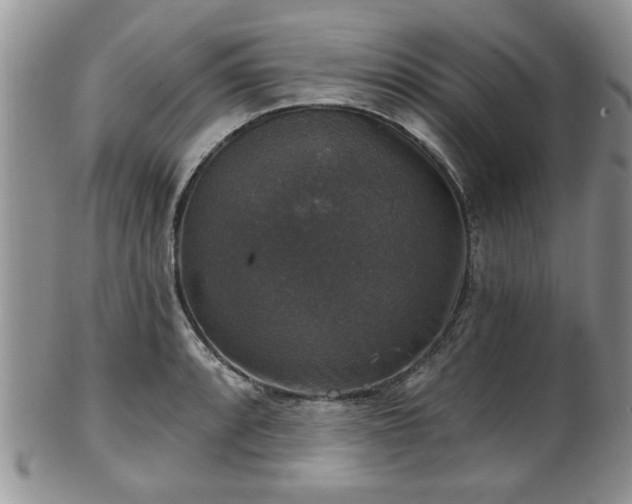 X0000101971088200807251206