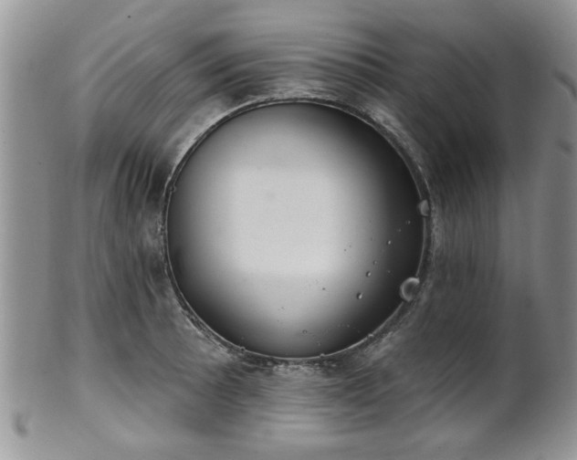 X0000101971089200807251206