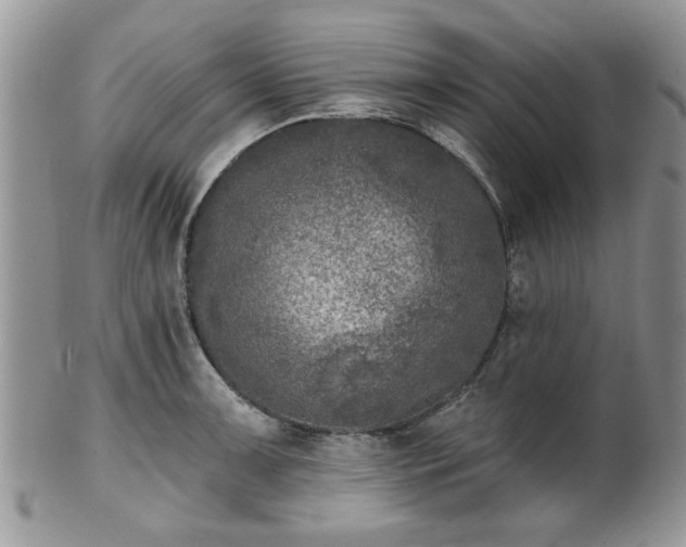 X0000101971091200807251206