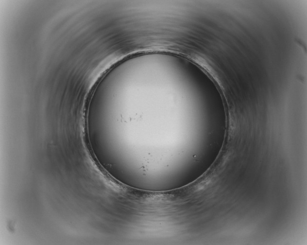 X0000101971093200807251206