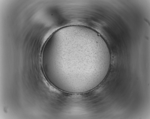 X0000101971094200807251206