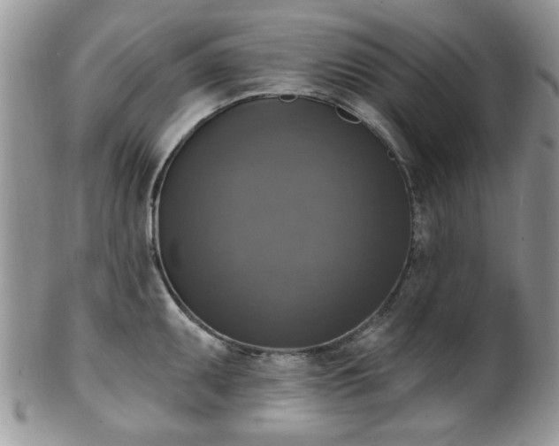 X0000101971095200807251206