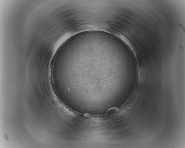 X0000101971096200807251206
