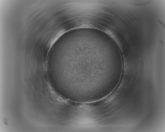 X0000101971097200807251206