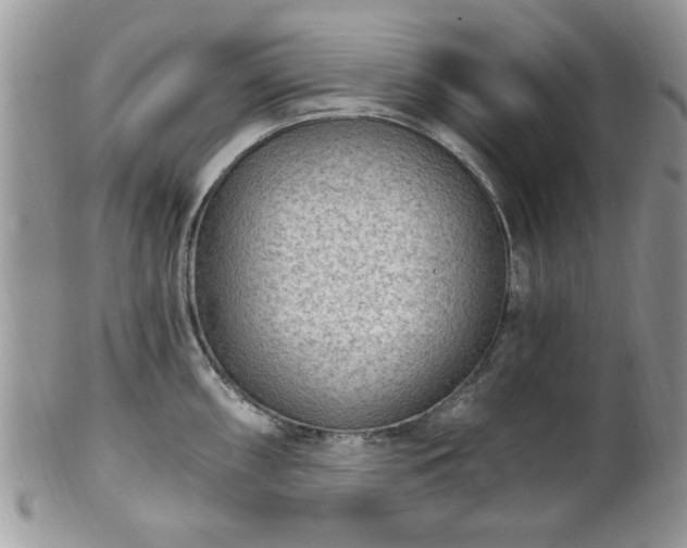 X0000101971098200807251206