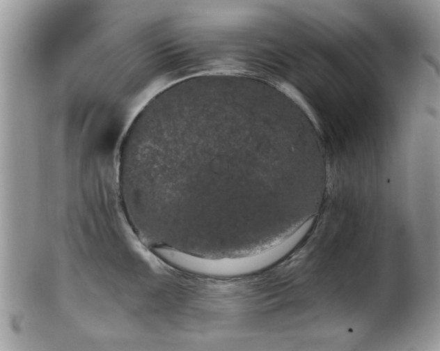 X0000101971099200807251206