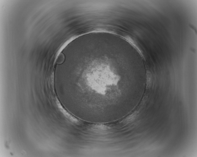 X0000101971100200807251205