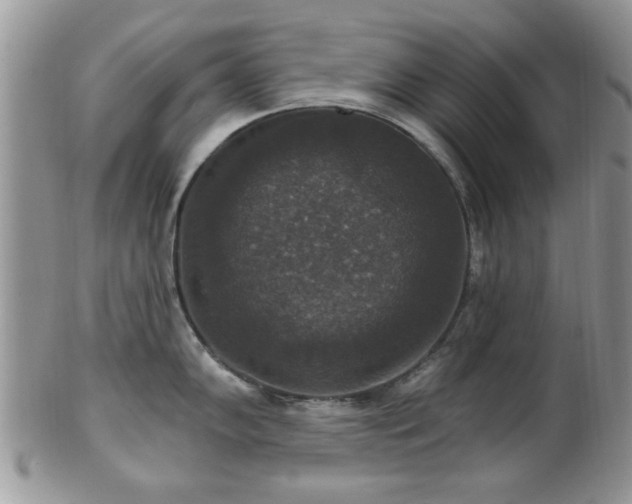 X0000101971102200807251205