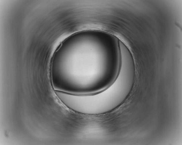 X0000101971104200807251205