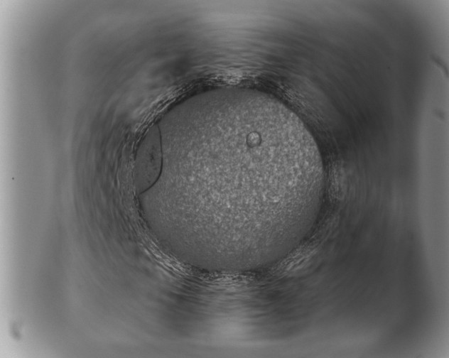 X0000101971105200807251205