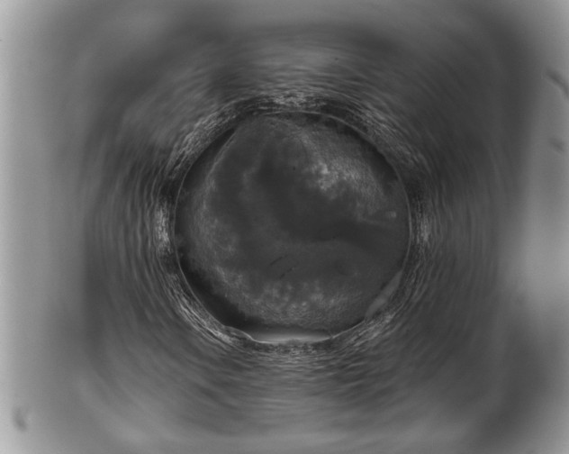 X0000101971106200807251205