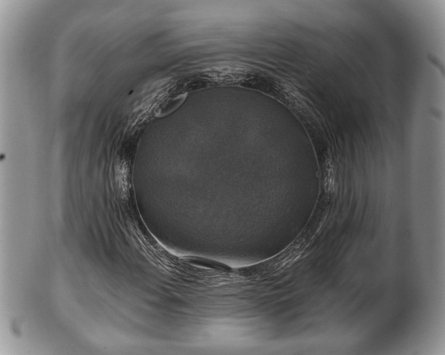 X0000101971108200807251205
