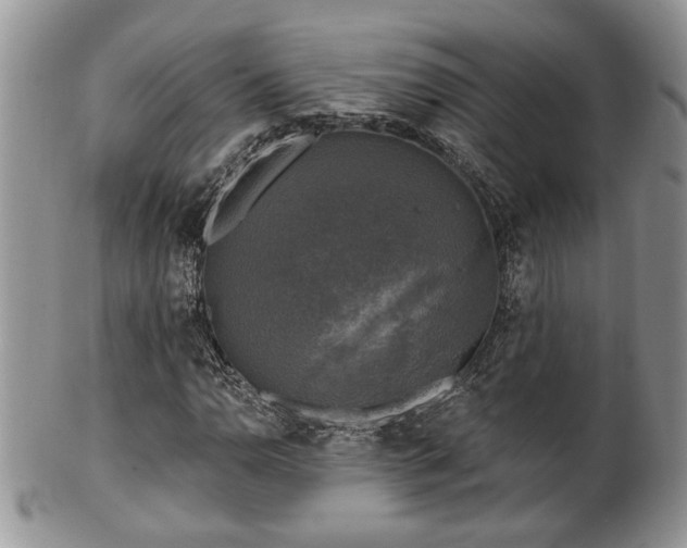 X0000101971110200807251205