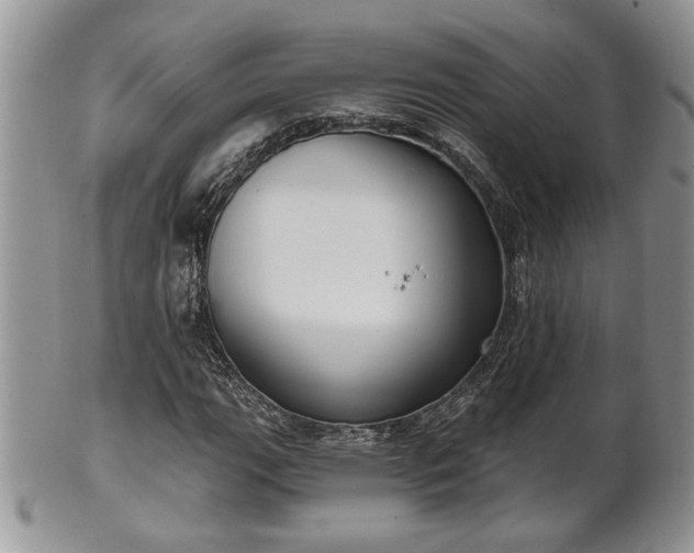 X0000101971111200807251205