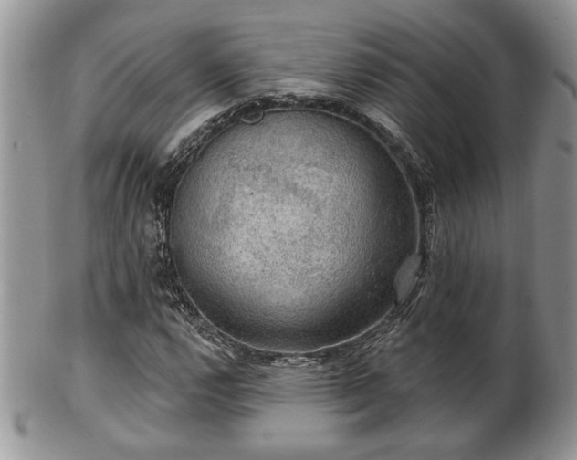 X0000101971112200807251205