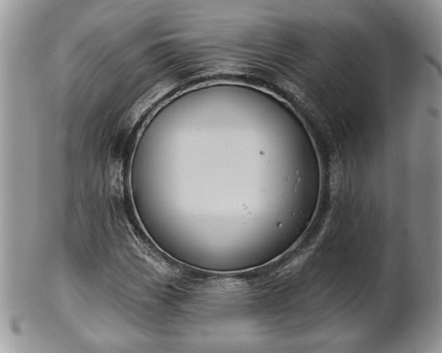 X0000101971113200807251205