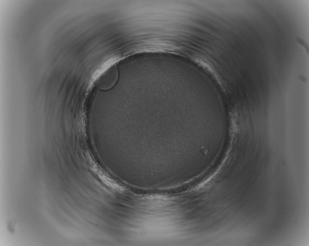 X0000101971114200807251205