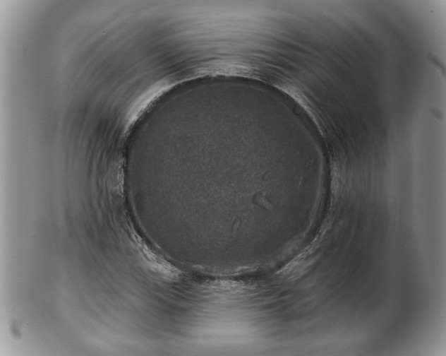 X0000101971115200807251205