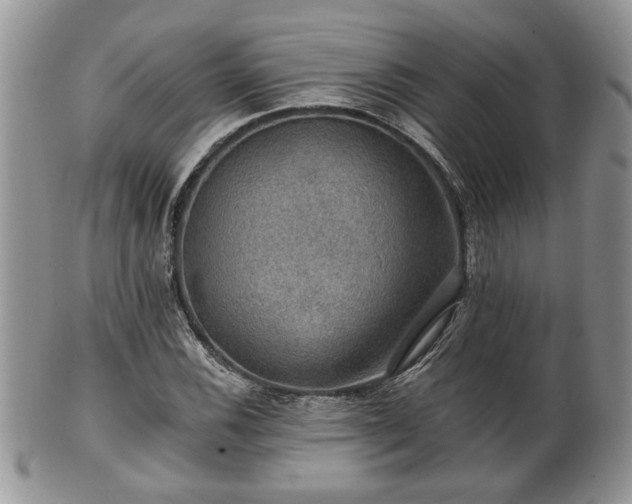 X0000101971116200807251205