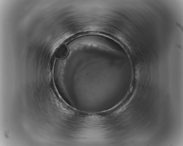 X0000101971117200807251205