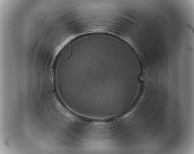 X0000101971118200807251205