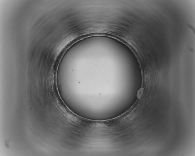 X0000101971119200807251205