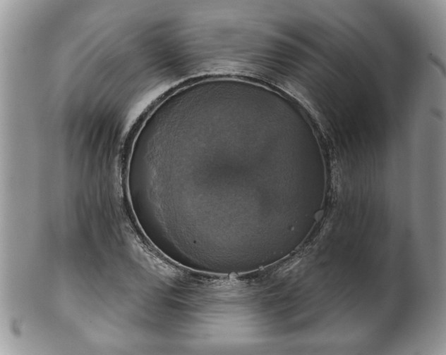 X0000101971120200807251205