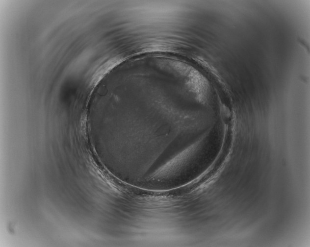 X0000101971121200807251205