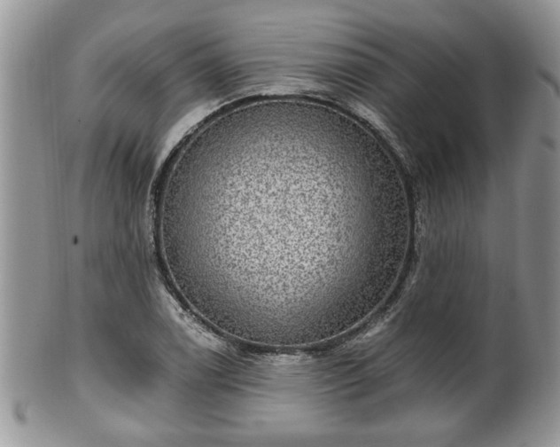 X0000101971122200807251205