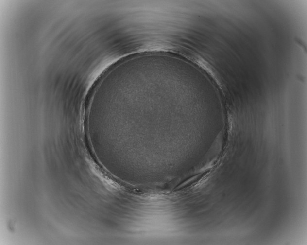 X0000101971124200807251205