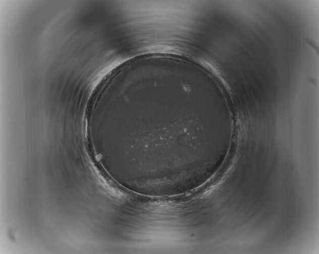 X0000101971125200807251205