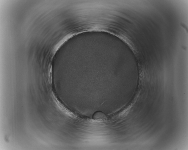 X0000101971126200807251205