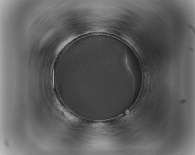 X0000101971127200807251205