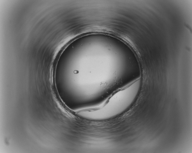 X0000101971128200807251205