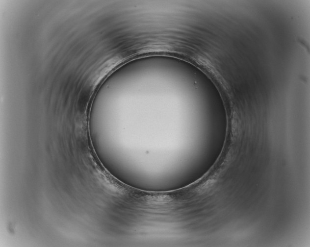 X0000101971129200807251205