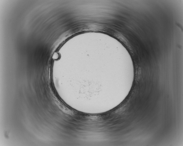 X0000101971130200807251205