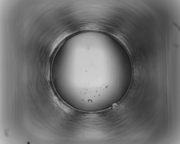 X0000101971131200807251205