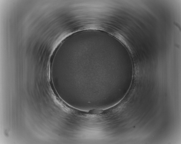 X0000101971132200807251205