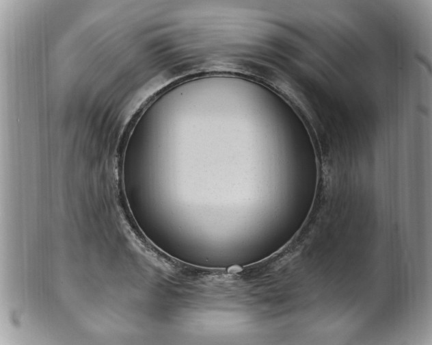 X0000101971133200807251205