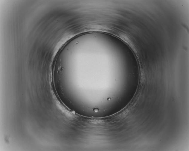 X0000101971136200807251205