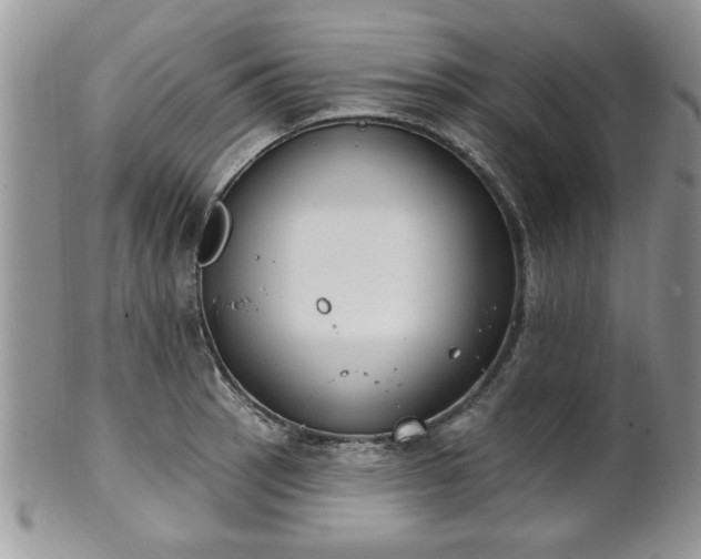X0000101971137200807251205