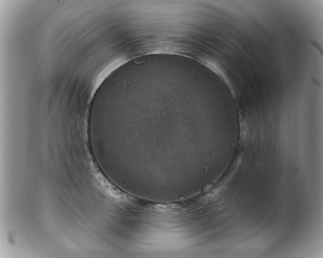 X0000101971138200807251205