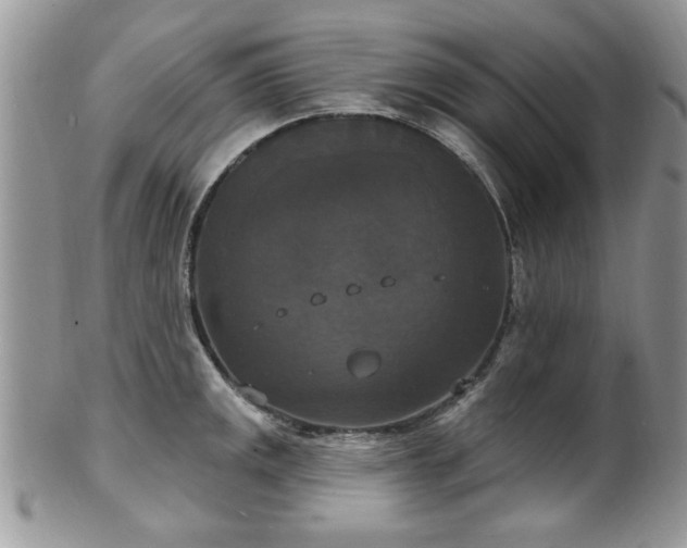 X0000101971141200807251205