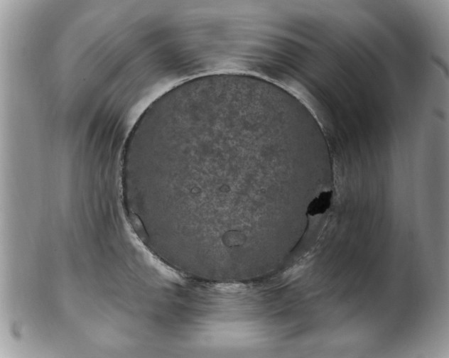 X0000101971142200807251205