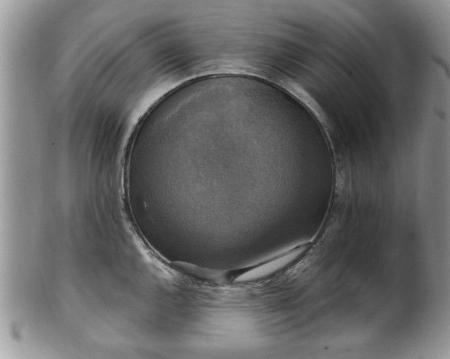 X0000101971144200807251205