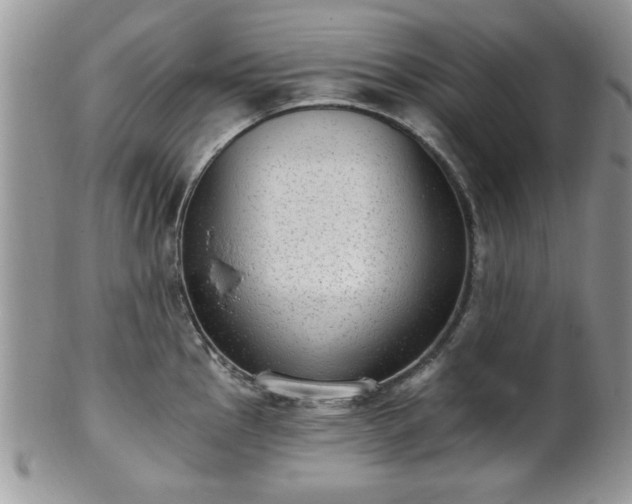 X0000101971145200807251205