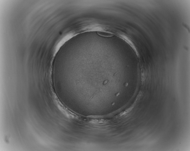 X0000101971146200807251205