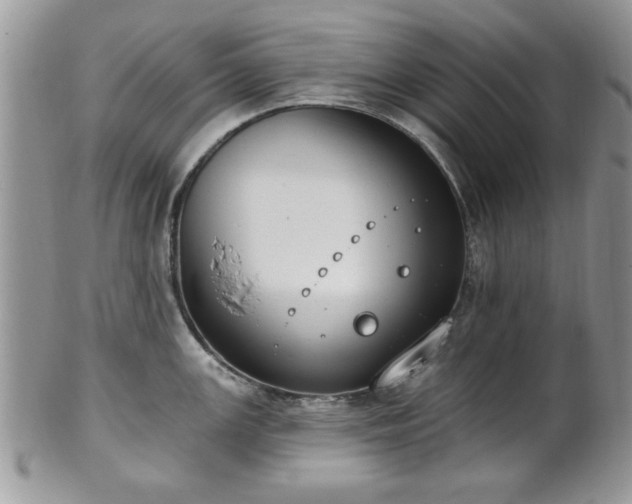 X0000101971147200807251205