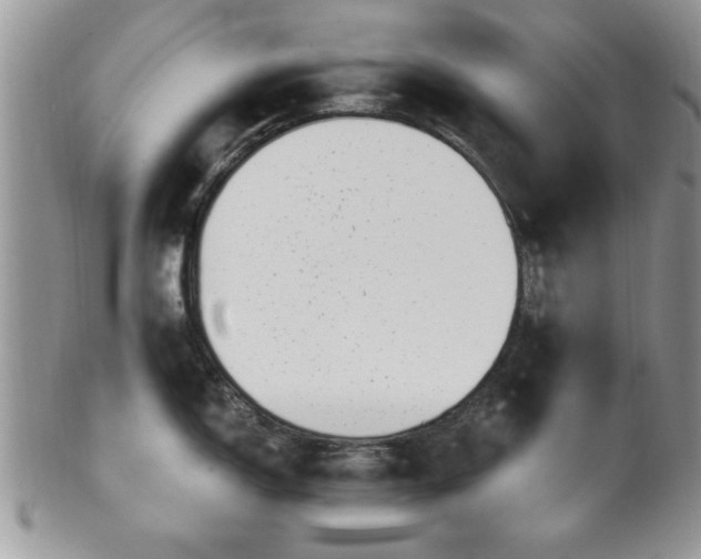 X0000101971150200807251205